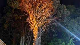 251475876_414504926810548_8427804619335828640_n